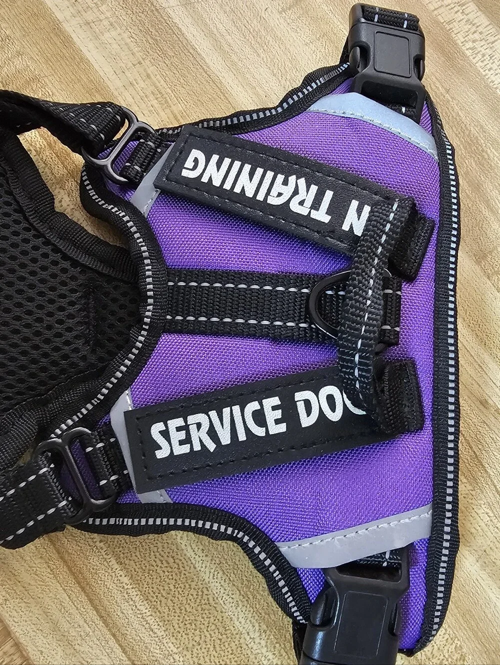 RAD NEW Purple Service Dog Vest Harness XS Puppy Toy Breed Retro Cute Adjustable